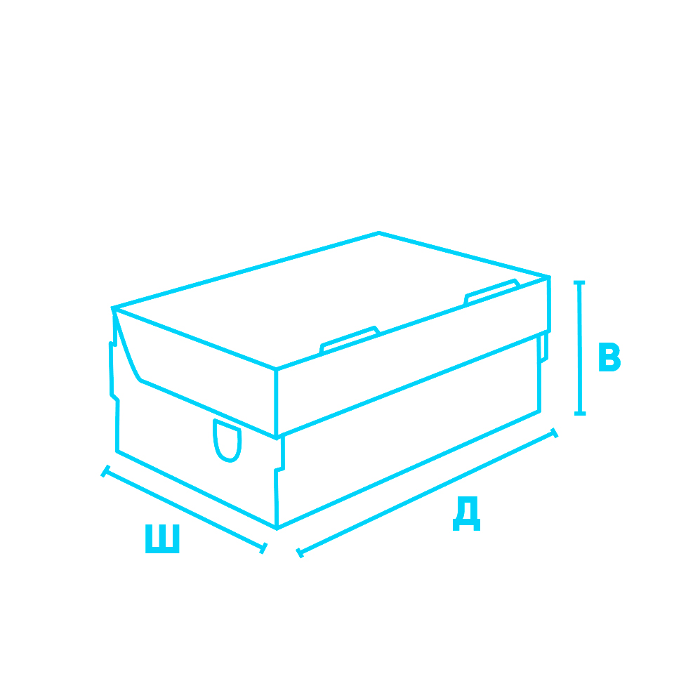 Конструкция упаковки SHOE BOX
